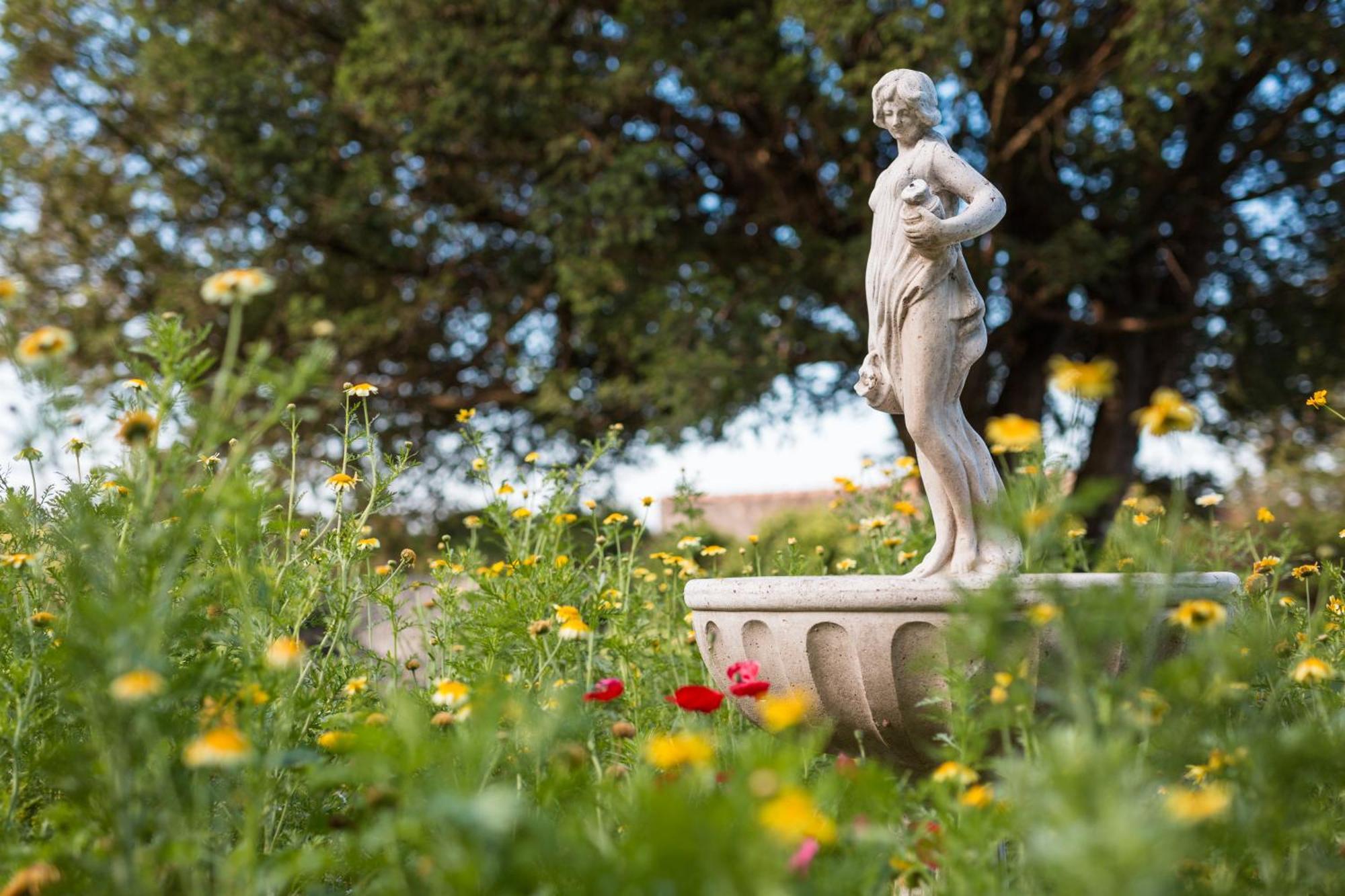 Chateau Montplaisir Charming B&B In Provence Valréas Eksteriør billede